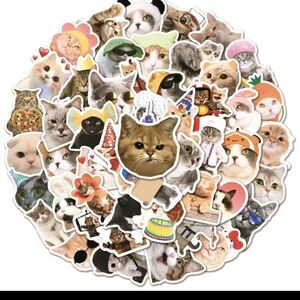 Charming Cat Sticker Collection